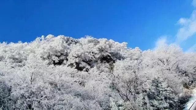 地球守护者
